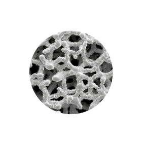 LA Ti-LIFE TECHNOLOGY