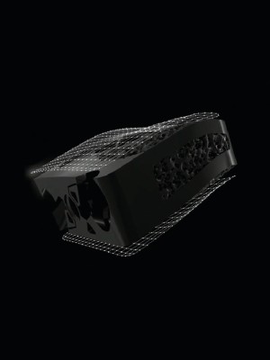 New anatomical shape